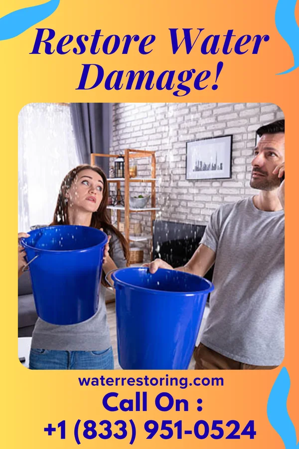 water restoration Prestige Water Damage Masters Johnson City