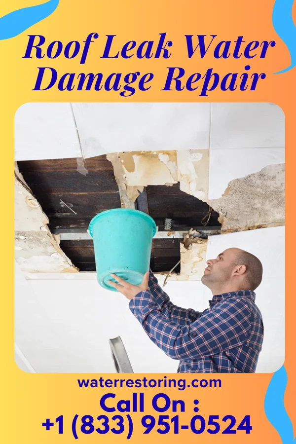 Roof Leak Water Damage Repair in Johnson City, TN