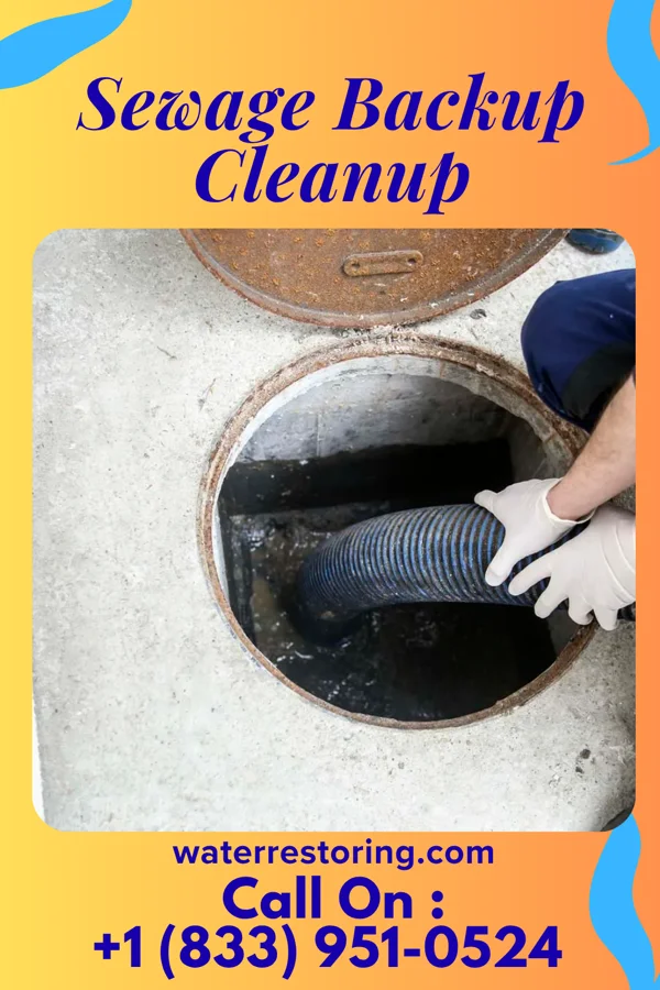 Sewage Backup Cleanup in Johnson City, TN